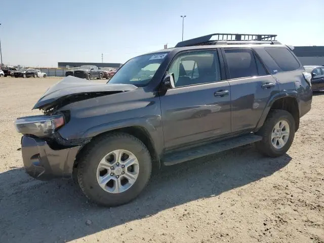 JTEBU5JR7K5729556