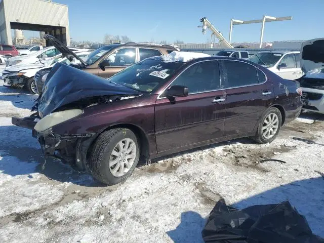 JTHBA30G545042224