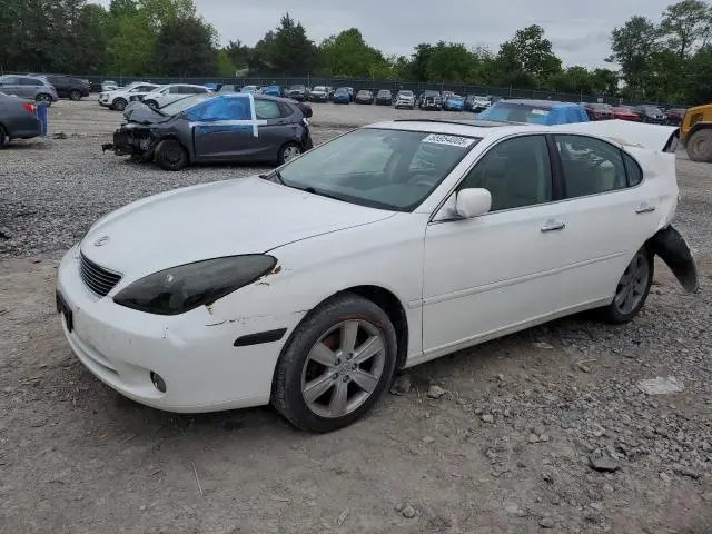 JTHBA30G865156219