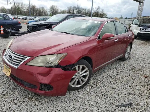 JTHBK1EG7C2503420