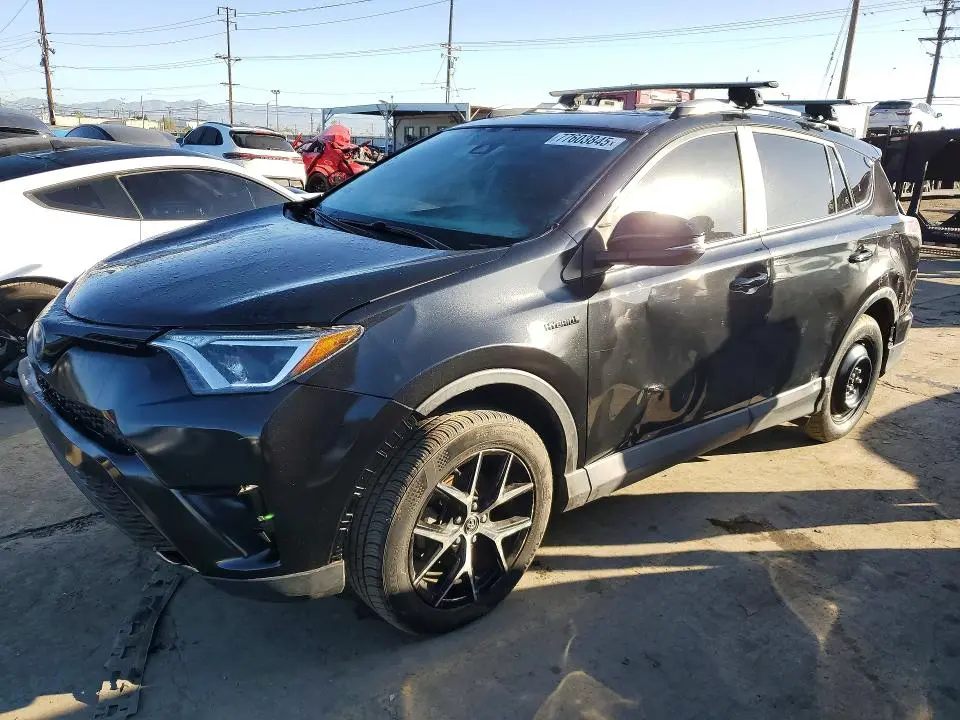 JTMJJREVXHD088005