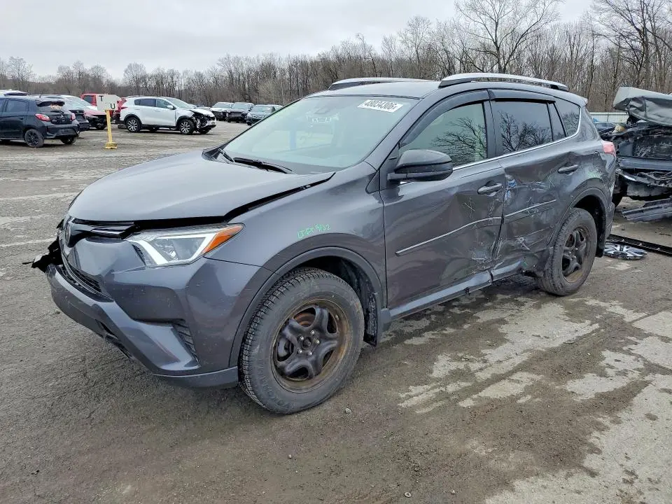 JTMZFREV0JJ211029