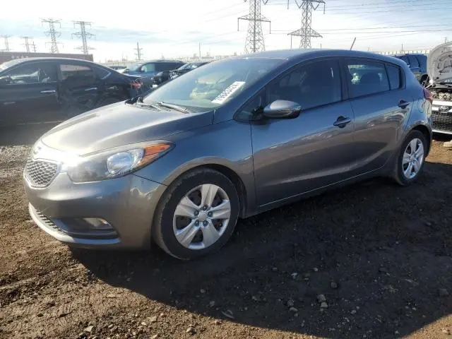 KNAFK5A88G5658309