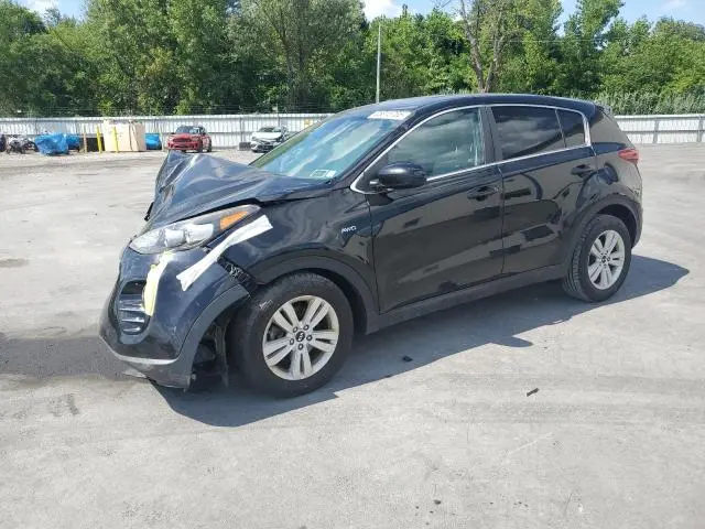 KNDPMCAC8J7370599