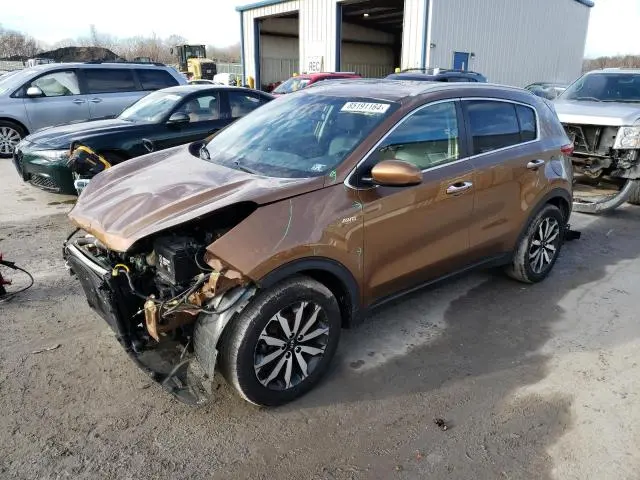 KNDPNCAC5H7274095