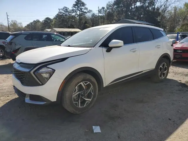 KNDPU3AFXP7041826