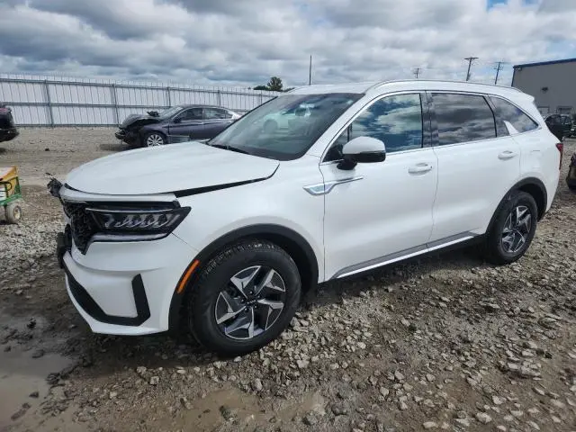 KNDRGDLG4N5081307