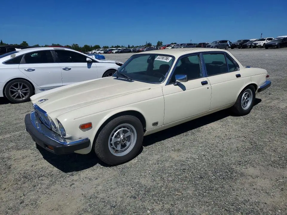 SAJAV1345HC464973