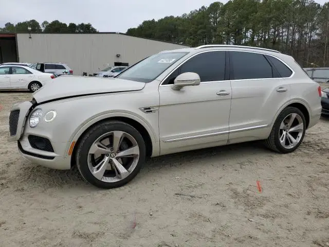 SJAAM2ZV8KC026559