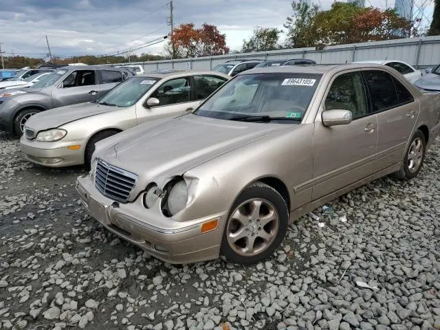 WDBJF65J82B409926