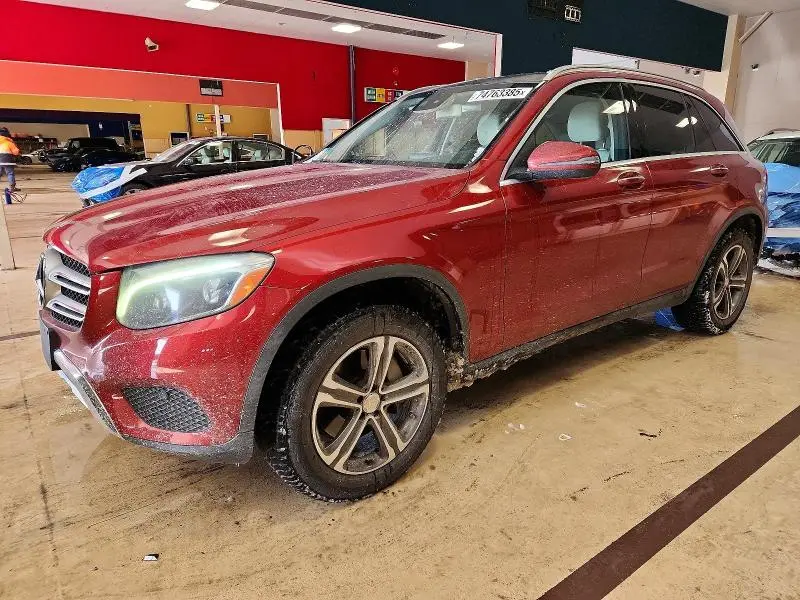WDC0G4KB9GF109656