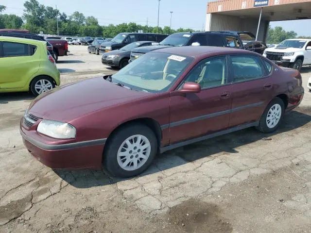XG1WF52E429211945