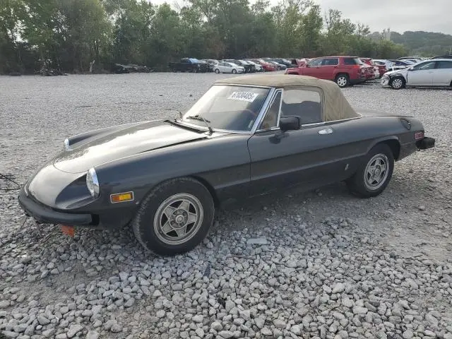 ZARBA5416C1014981