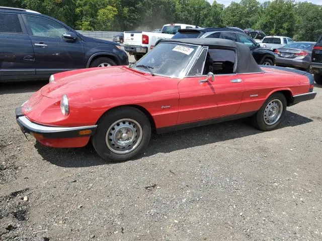 ZARBA5416G1044326