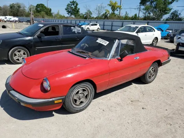 ZARBA5419D1016662