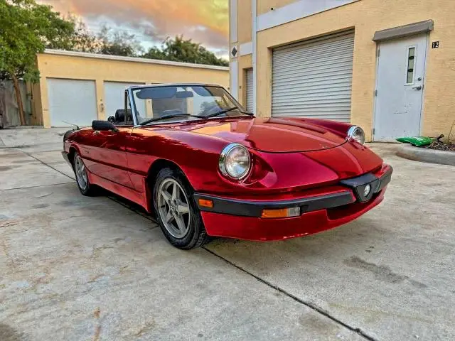 ZARBA5565J1061264