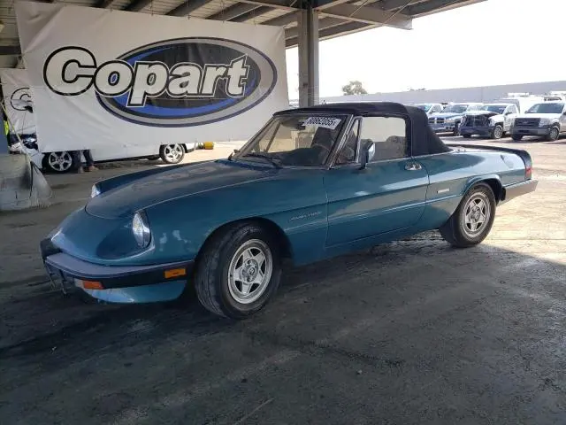 ZARBA5585H1048638